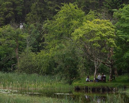 The Cabin @ Willowmere (Garden Log Cabin) in Clane