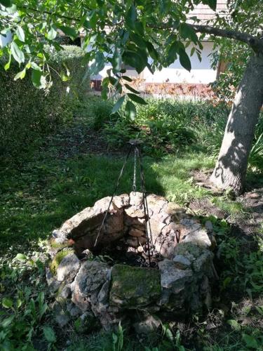 Garden, Panorama Vendeghaz in Golop
