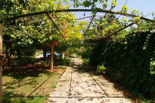 Aumallia Hotel & Spa - image 3