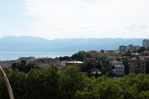 Apartman Lari