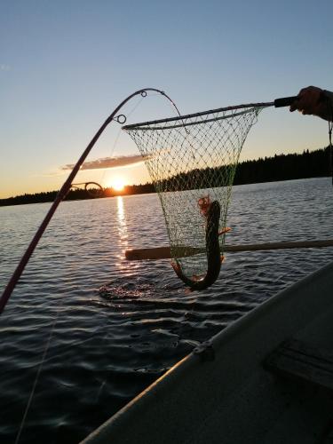 Goiglo Hotel & Hostel - image 5