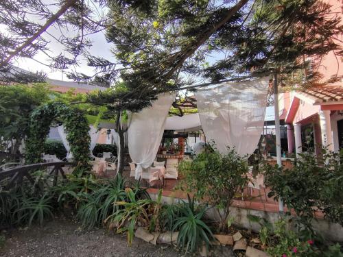  El Tio Mateo in Marbella