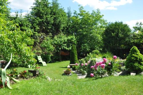 Oaza U Tadeusza - main image