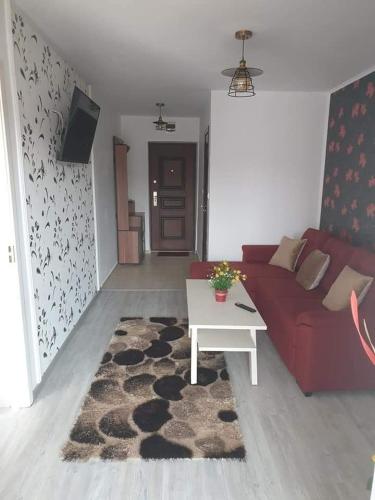 Apartament Alina - Apartment - Saturn