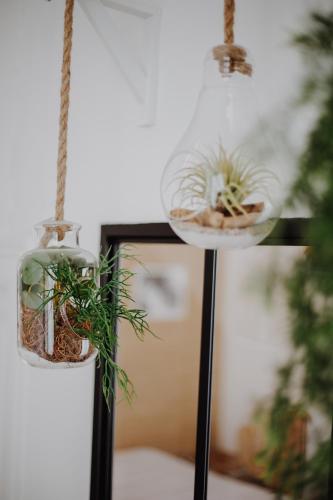 L'échappée - main image