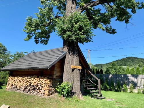 Zacisze Pod Lipą Zacisze Pod Lipą