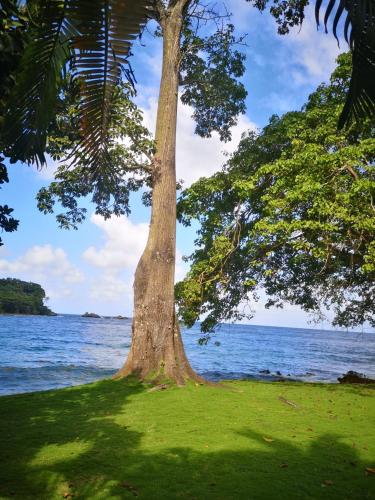 Cabañas Luna Escondida
