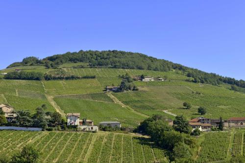 Viesnīcas āriene, Appartement cosy au coeur du Beaujolais in Saint-Lager