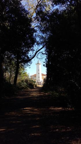 Hotel Golf - image 10