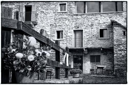 Il Girasole