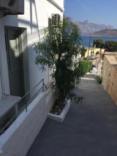  Fotini Studios in Emborios Kalymnos