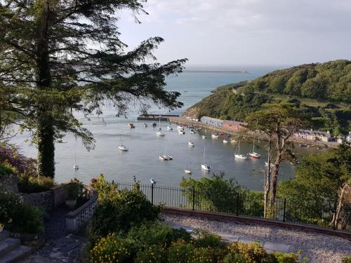 An Artist's Cottage in Fishguard