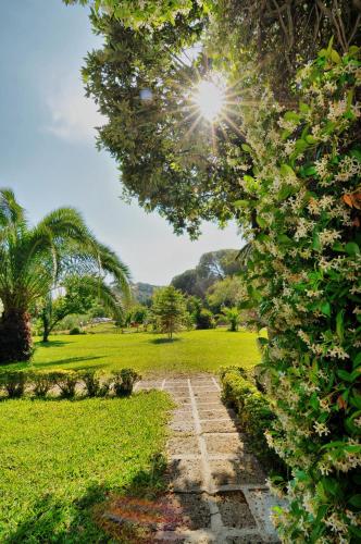 Hotel Villa Rodriguez - image 4