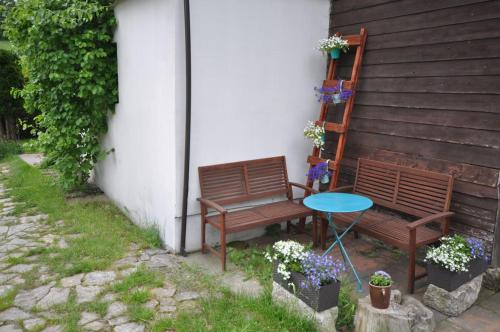 Dom pod Wędrownym Aniołem, Szklarska Poręba (foto 7)