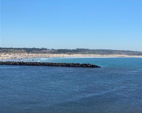  Cozy Beach Front with Rooftop in Vila do Conde