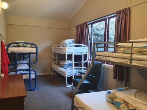 6-Bed Mixed Dormitory Room