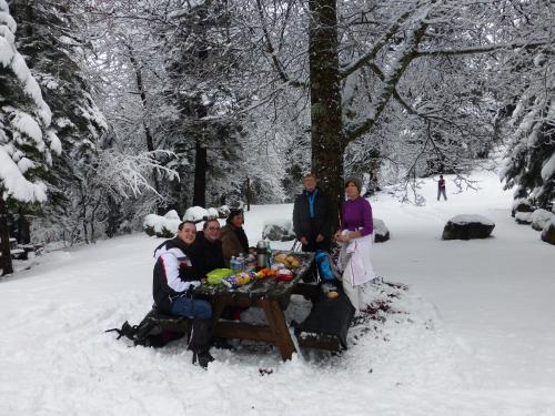 Camping Hôtel De Plein Air Les Cariamas - image 3