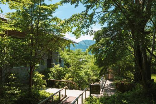 Hakone Retreat Fore