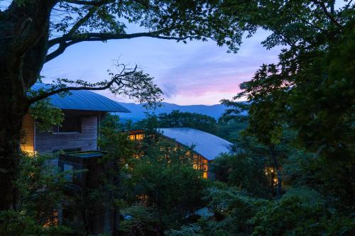 Hakone Retreat Fore