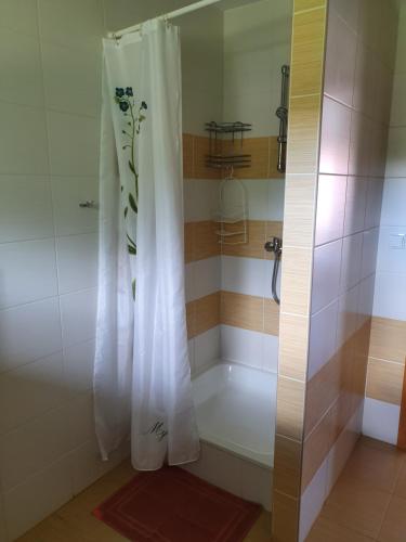 Privat Bartky - image 5