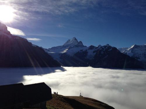 Berggasthaus First - Only Accessible by Cable Car