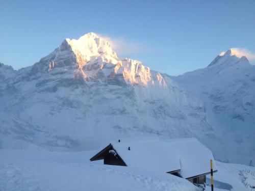Berggasthaus First - image 5