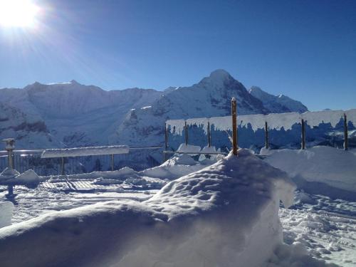 Berggasthaus First - Only Accessible by Cable Car