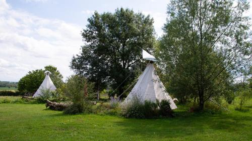 Tipi / Nature / Détente