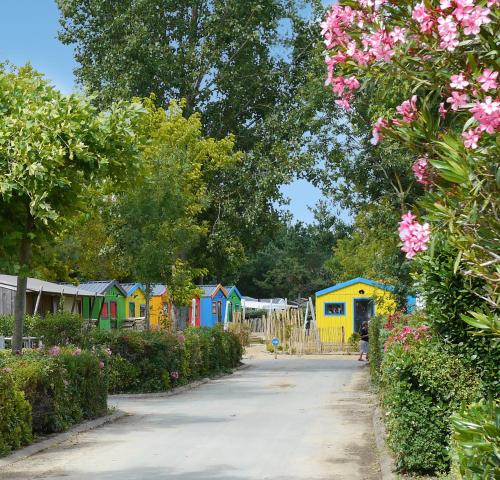 Camping Les Cabanes d'Oléron photo 19