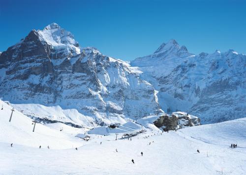 Berggasthaus First - Only Accessible by Cable Car