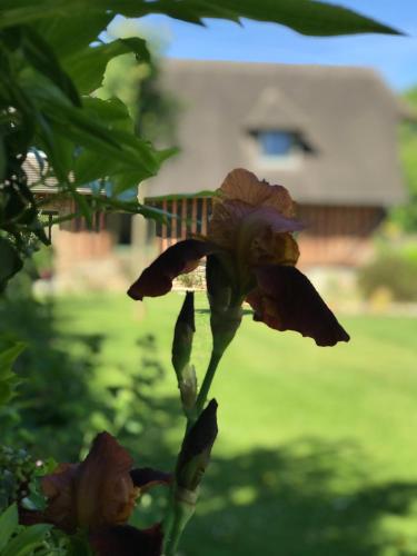 Le petit pressoir photo 22