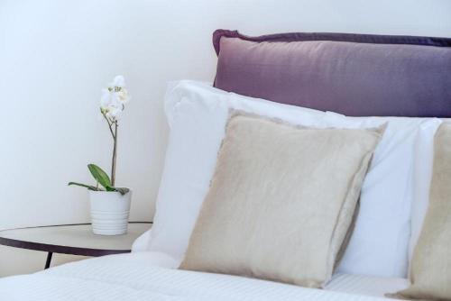 Trevi's Sweet Paradise - image 3