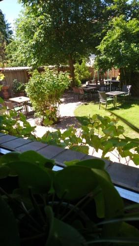 Hotel Bertram, Schwarmstedt (Foto 7)