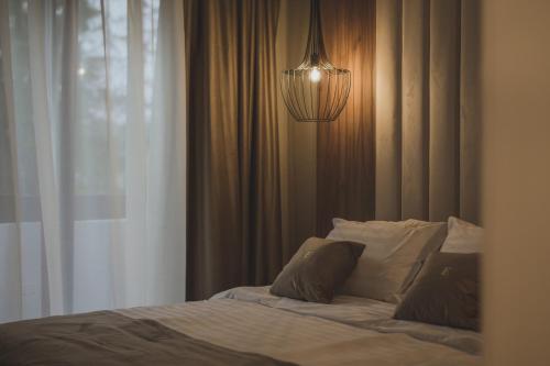 Elexus Boutique - image 11