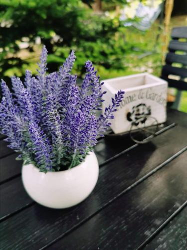 Elexus Boutique - image 13