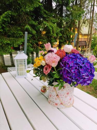 Elexus Boutique - image 14