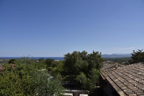 BILO ROSE Sole & Relax a San Teodoro