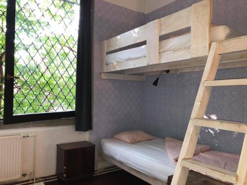 1 twin bed