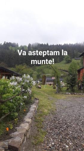 . CAZARE Borsec