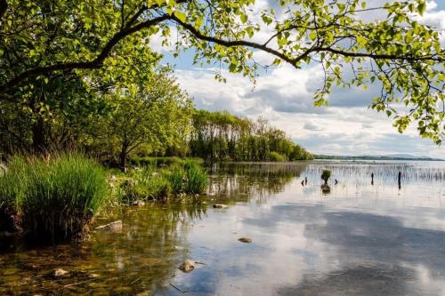 Oaklodge B&B - image 5