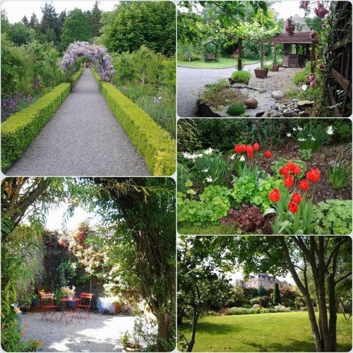 Oaklodge B&B - image 3