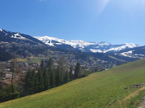 Le Chalet Blanc - image 14