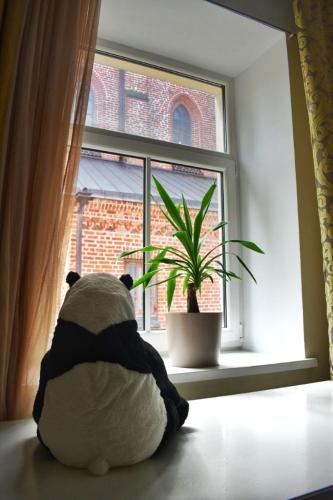 Panda House - Luxury in Old Town