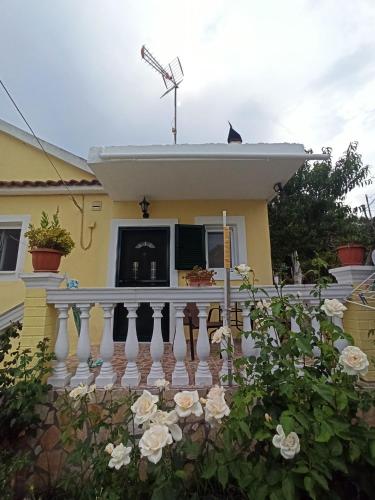 Dimitris House Petriti