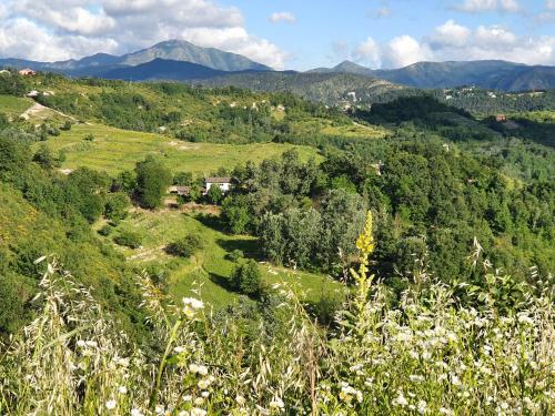 Agriturismo Il Burlino Apartments