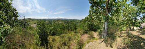 Agriturismo Il Burlino Apartments