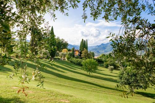 Borgo Il Mezzanino