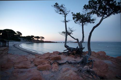 Résidence U LATONU - Palombaggia - Village et club de vacances - Porto-Vecchio