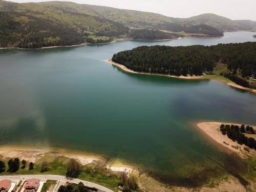 Tra il bosco e il lago