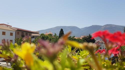 Hotelli välisilme, Posada Alpujarra Sol in Orgiva